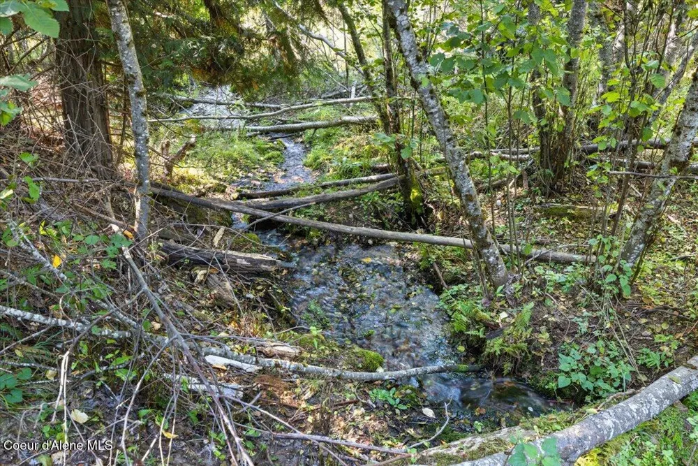 xx Poloma Ln Priest River, ID 83856