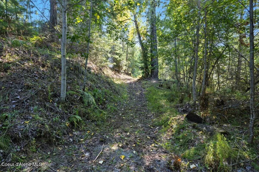 xx Poloma Ln Priest River, ID 83856