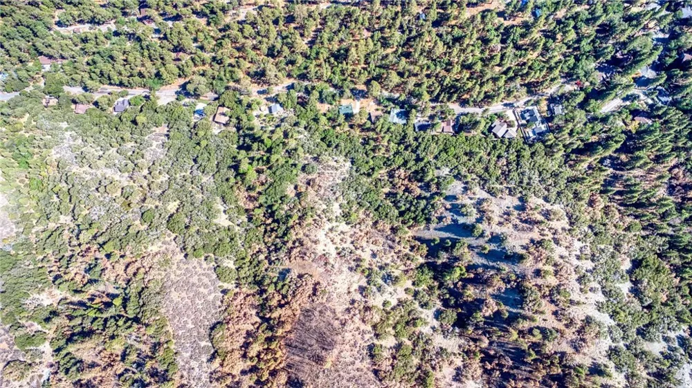 999 Acorn Dr Wrightwood, CA 92397