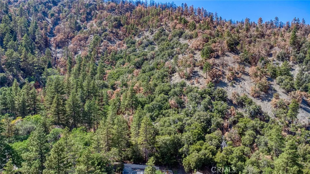 999 Acorn Dr Wrightwood, CA 92397