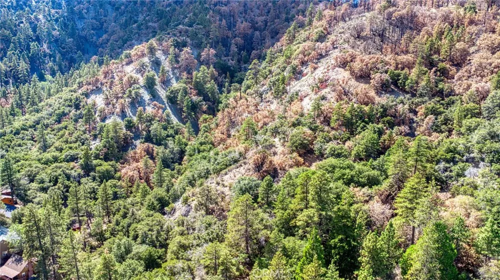 999 Acorn Dr Wrightwood, CA 92397