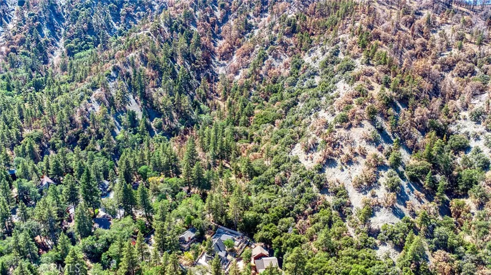 999 Acorn Dr Wrightwood, CA 92397