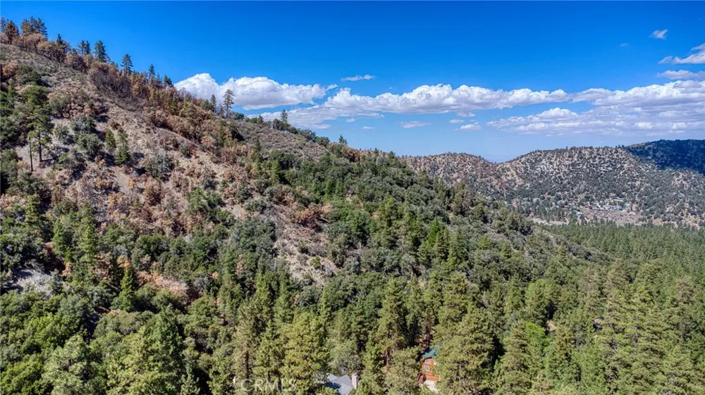 999 Acorn Dr Wrightwood, CA 92397