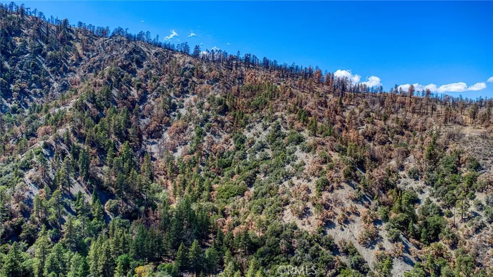 999 Acorn Dr Wrightwood, CA 92397