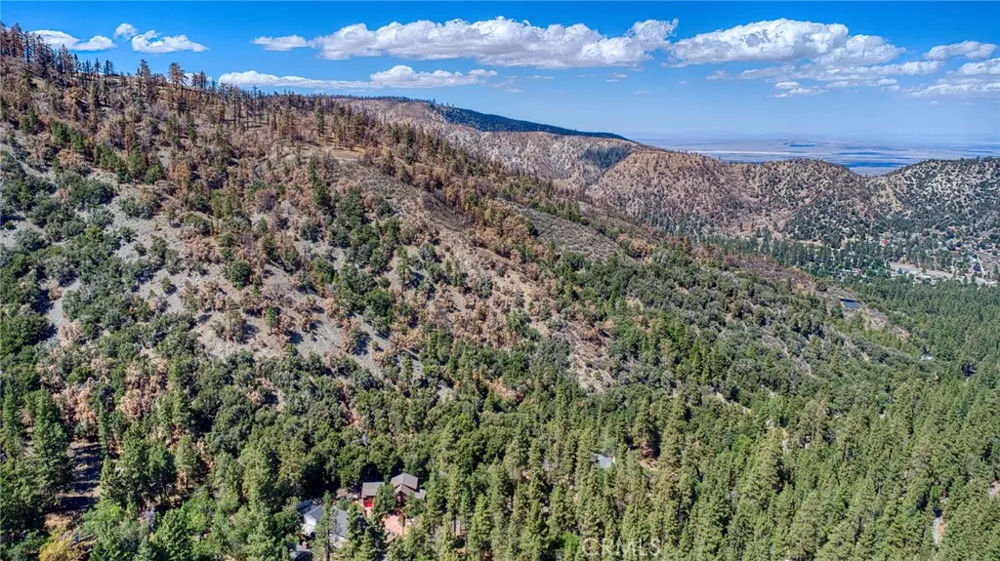 999 Acorn Dr Wrightwood, CA 92397
