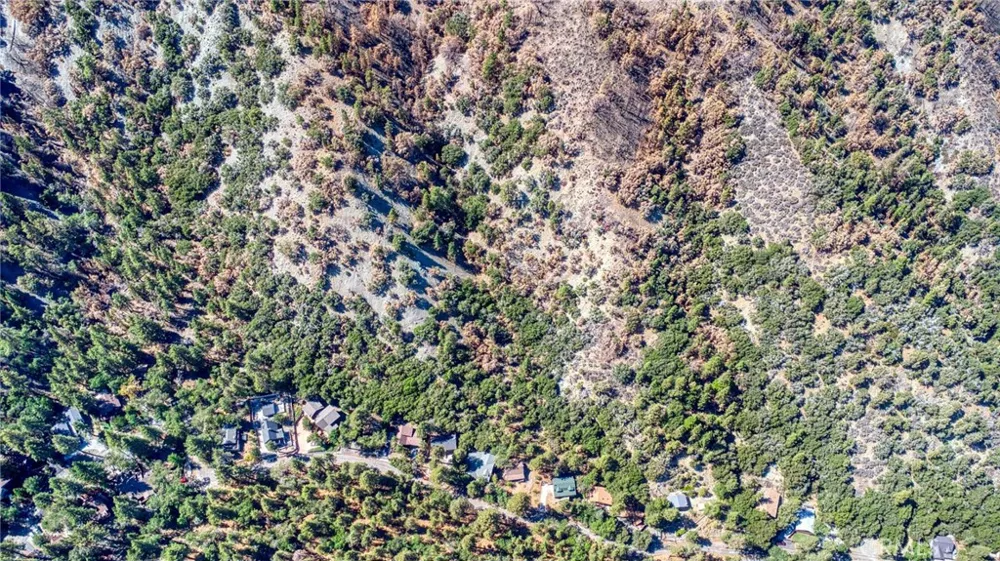 999 Acorn Dr Wrightwood, CA 92397