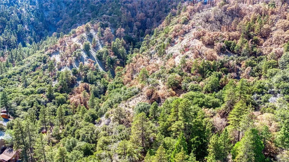 999 Acorn Dr Wrightwood, CA 92397