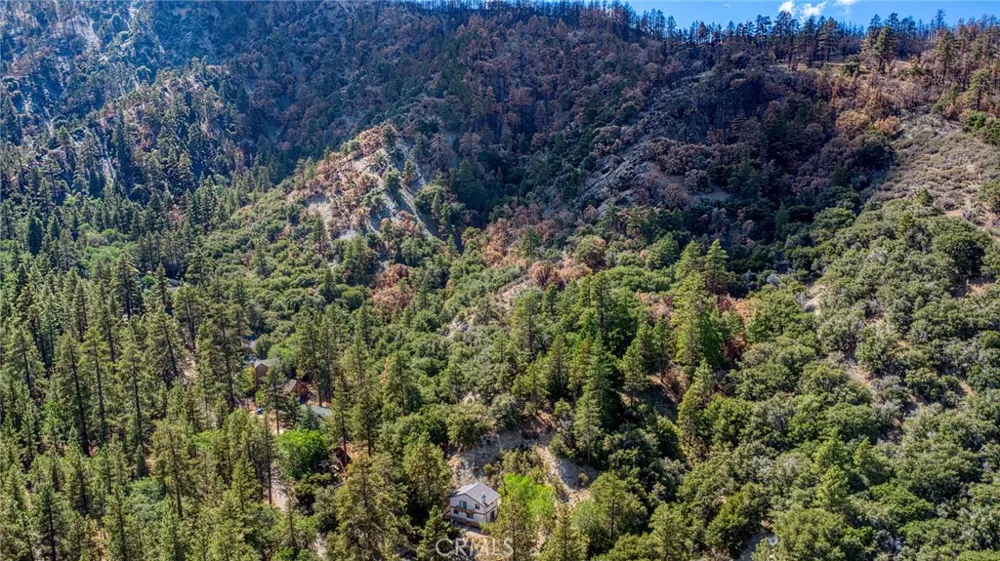 999 Acorn Dr Wrightwood, CA 92397