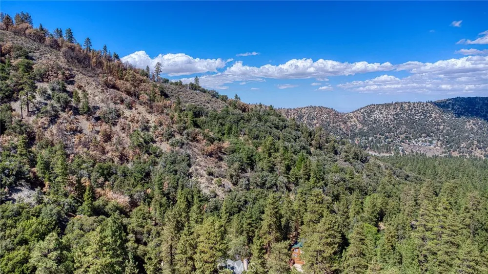 999 Acorn Dr Wrightwood, CA 92397