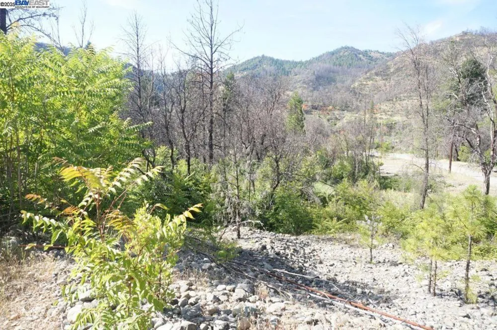 101 River Acres Junction City, CA 96048