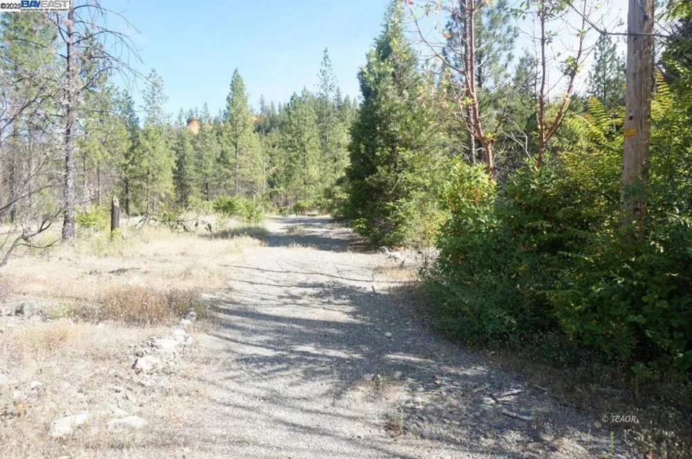 101 River Acres Junction City, CA 96048