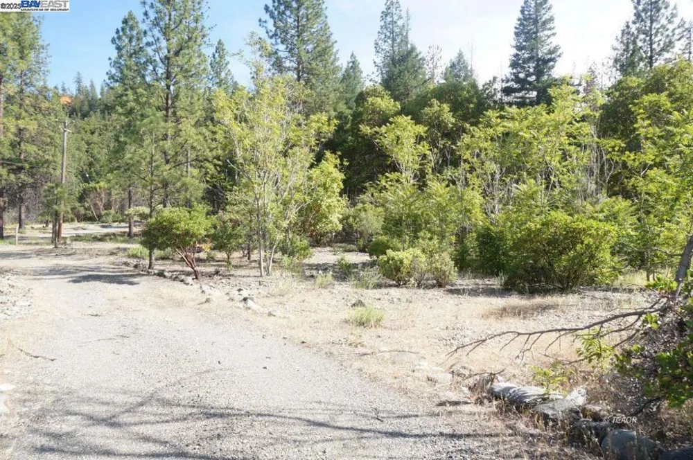 101 River Acres Junction City, CA 96048