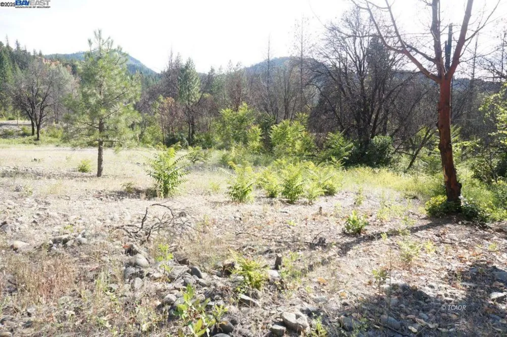 101 River Acres Junction City, CA 96048