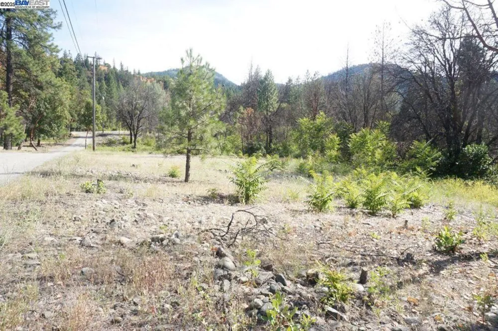 101 River Acres Junction City, CA 96048