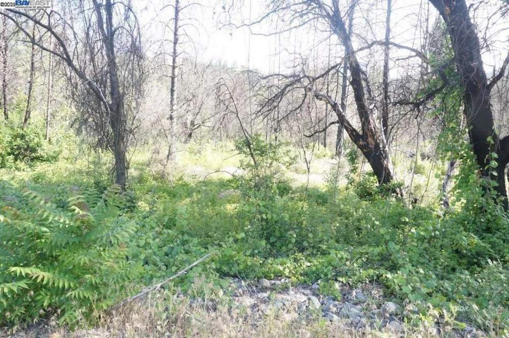 101 River Acres Junction City, CA 96048