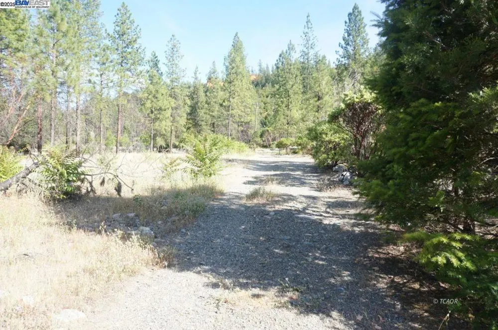 101 River Acres Junction City, CA 96048