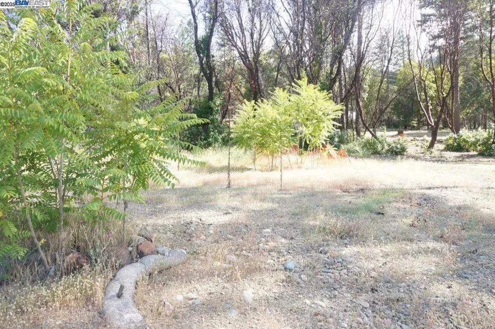 101 River Acres Junction City, CA 96048