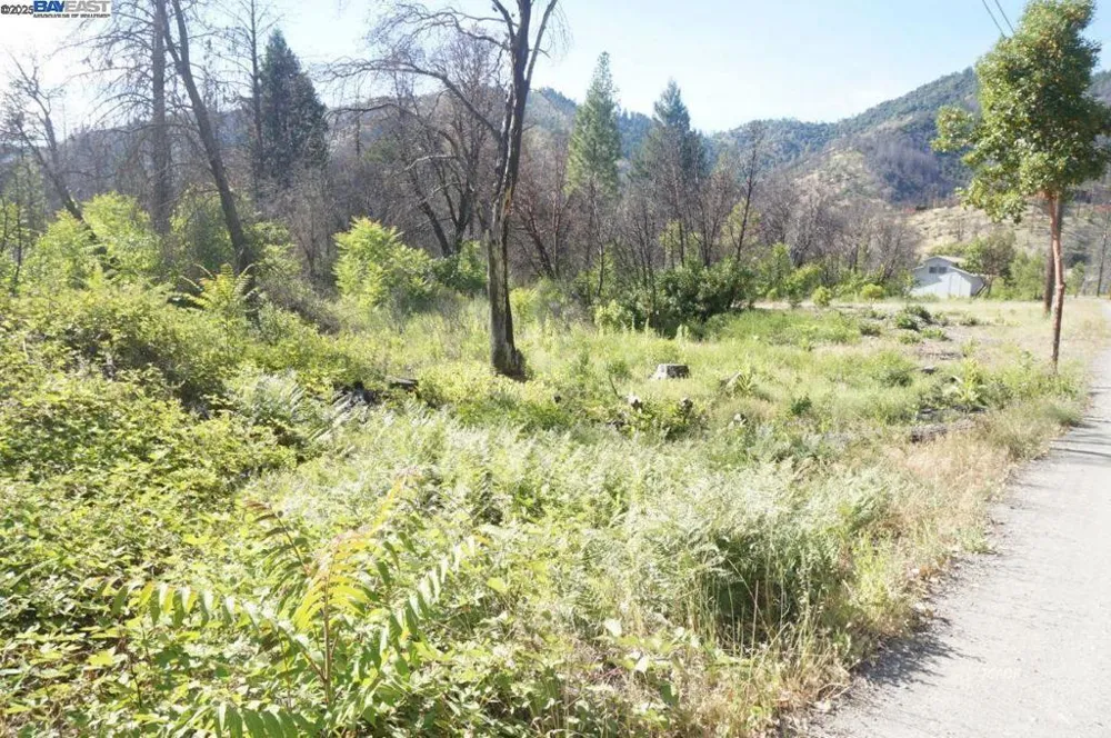 101 River Acres Junction City, CA 96048