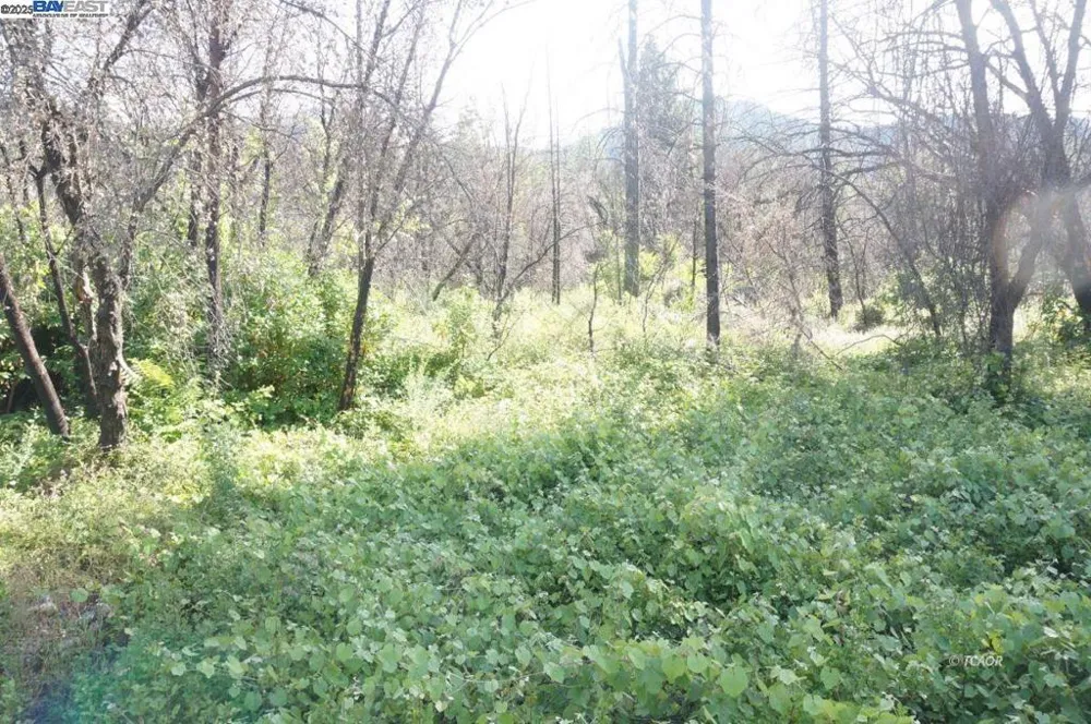 101 River Acres Junction City, CA 96048