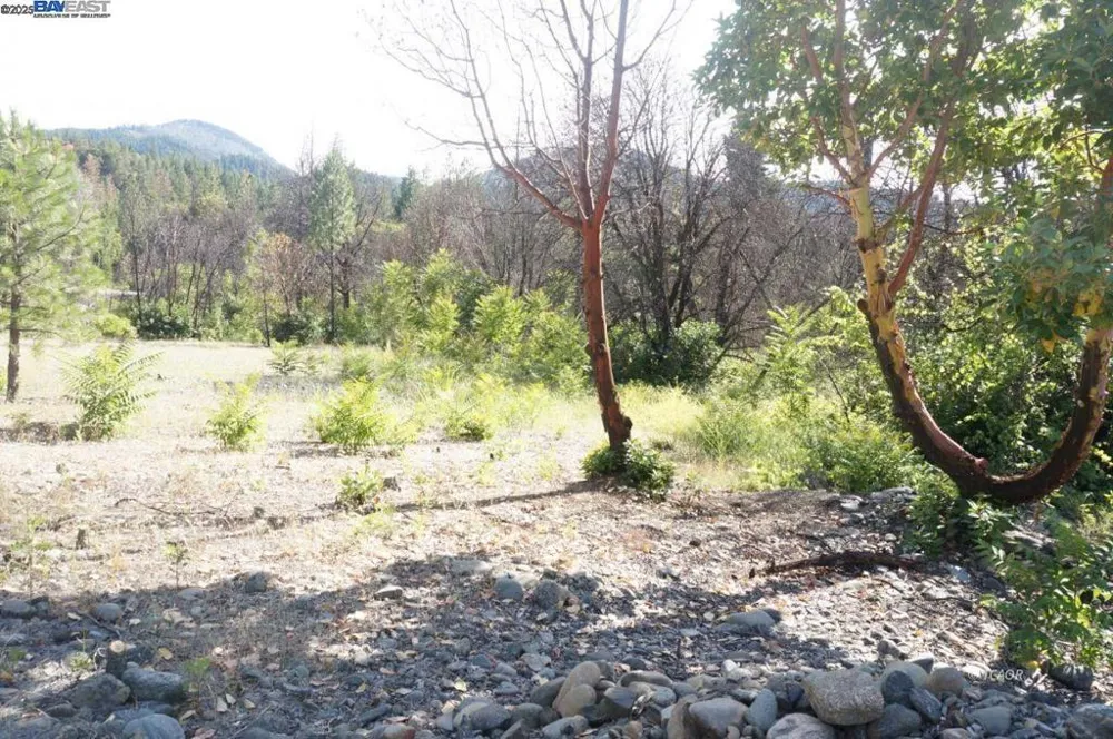 101 River Acres Junction City, CA 96048