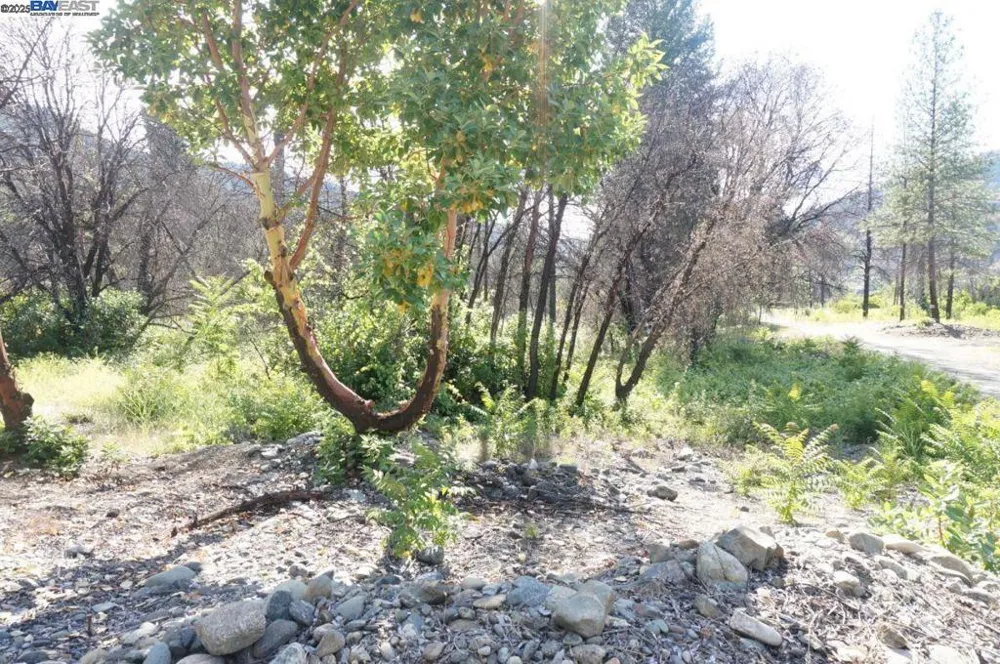 101 River Acres Junction City, CA 96048