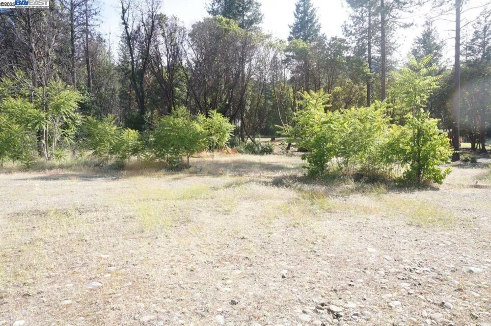 101 River Acres Junction City, CA 96048