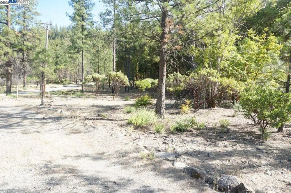 101 River Acres Junction City, CA 96048