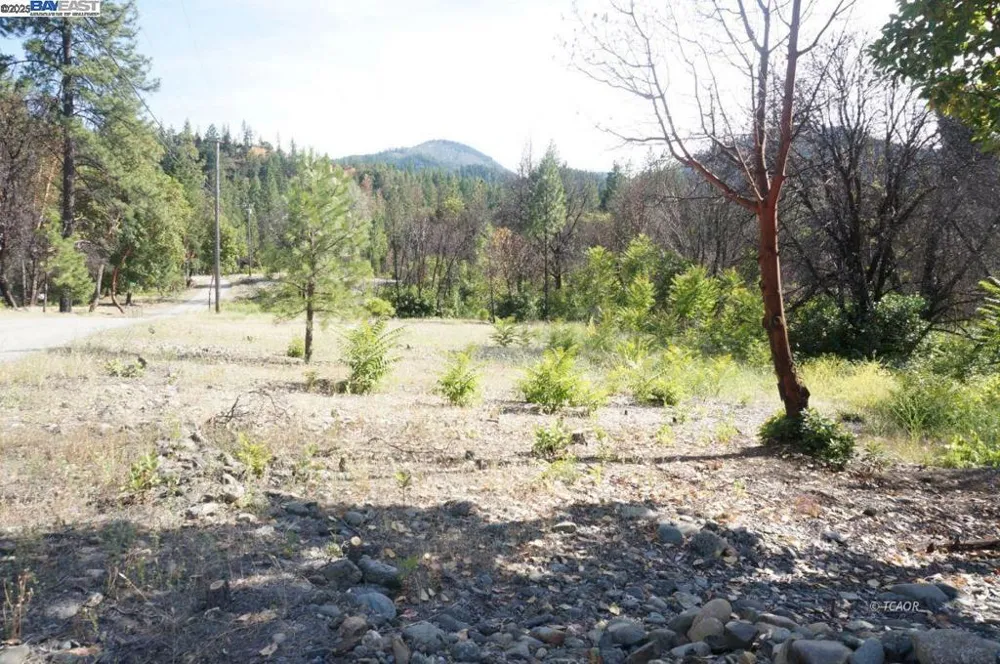 101 River Acres Junction City, CA 96048
