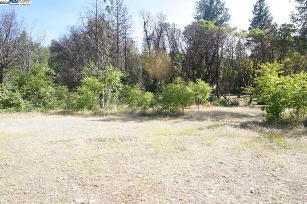 101 River Acres Junction City, CA 96048