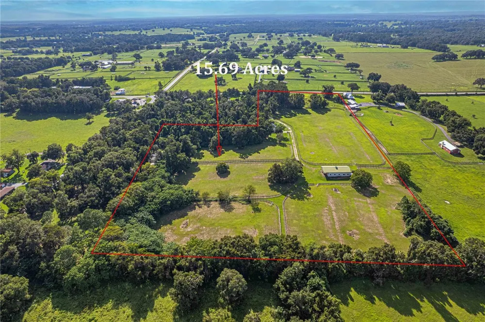 12615 NW GAINESVILLE ROAD Reddick, FL 32686