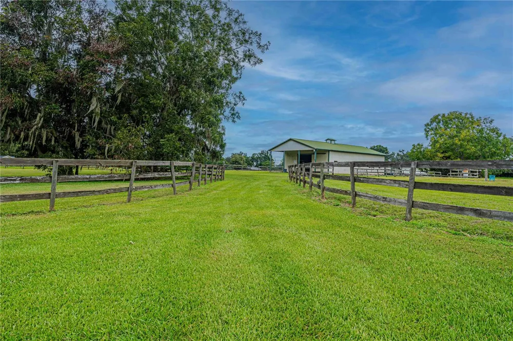 12615 NW GAINESVILLE ROAD Reddick, FL 32686