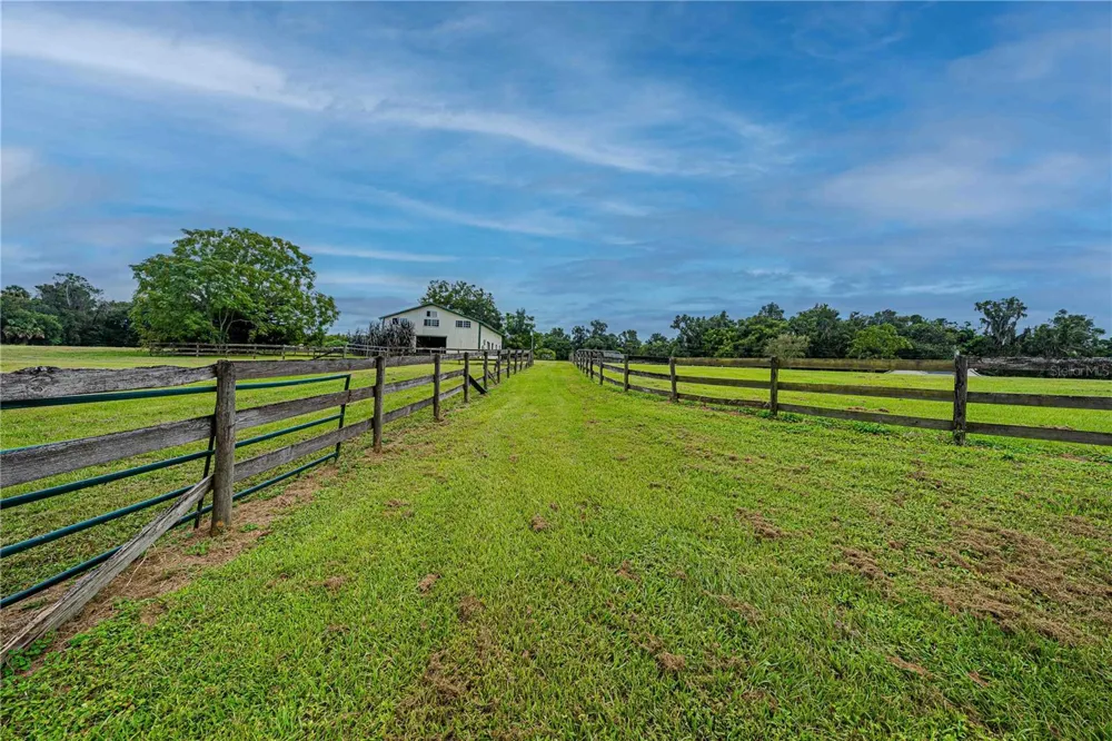 12615 NW GAINESVILLE ROAD Reddick, FL 32686