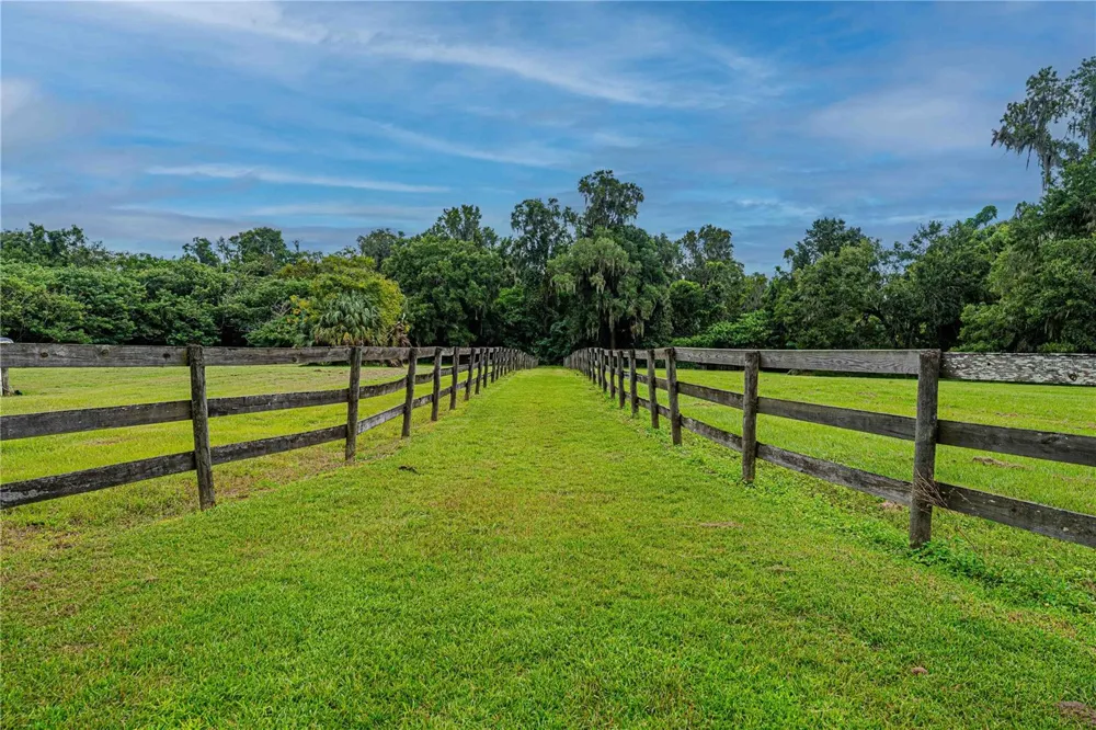 12615 NW GAINESVILLE ROAD Reddick, FL 32686