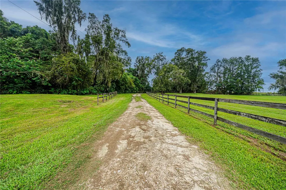 12615 NW GAINESVILLE ROAD Reddick, FL 32686