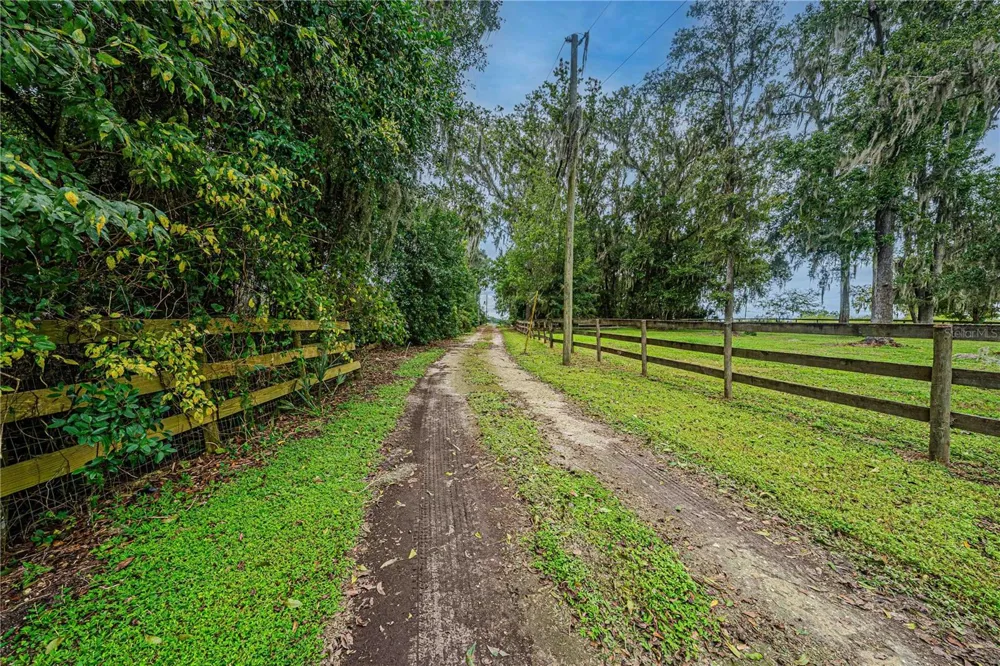 12615 NW GAINESVILLE ROAD Reddick, FL 32686