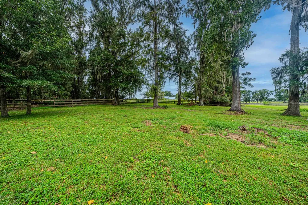 12615 NW GAINESVILLE ROAD Reddick, FL 32686