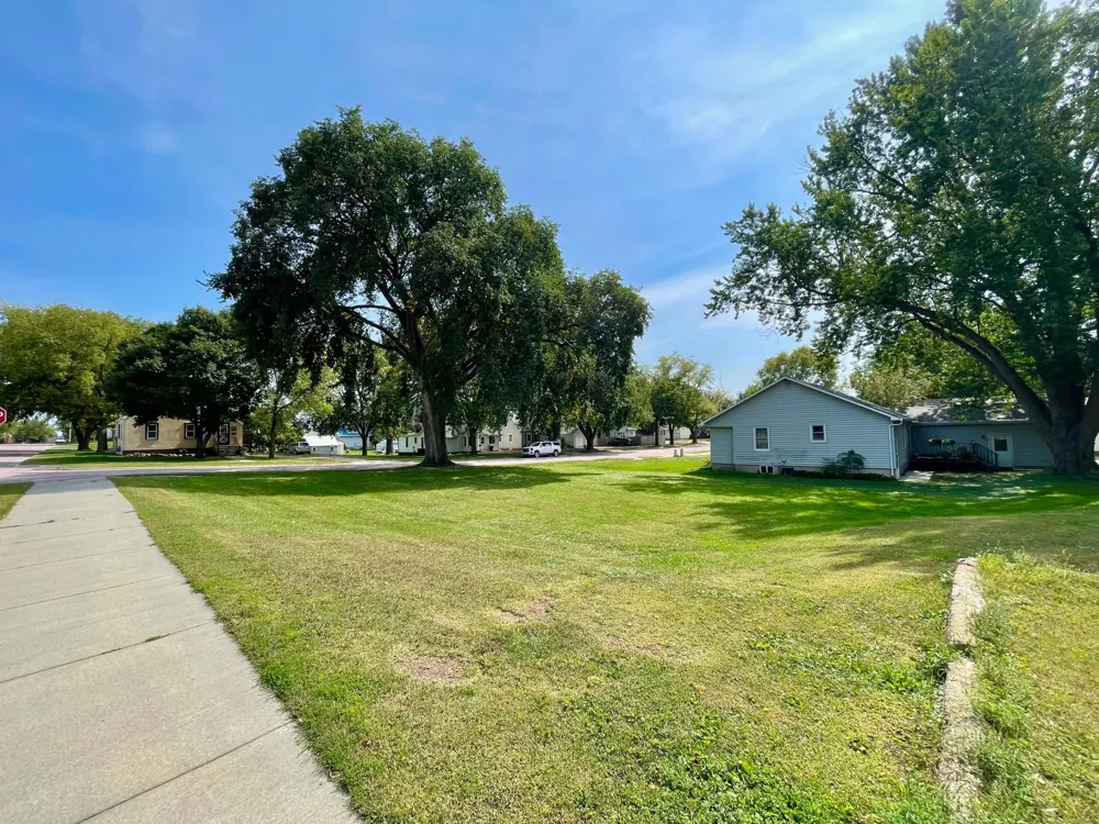 124 Park Avenue Springfield, MN 56087