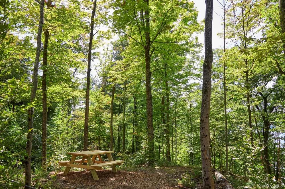 Mill Road Rhinebeck, NY 12572