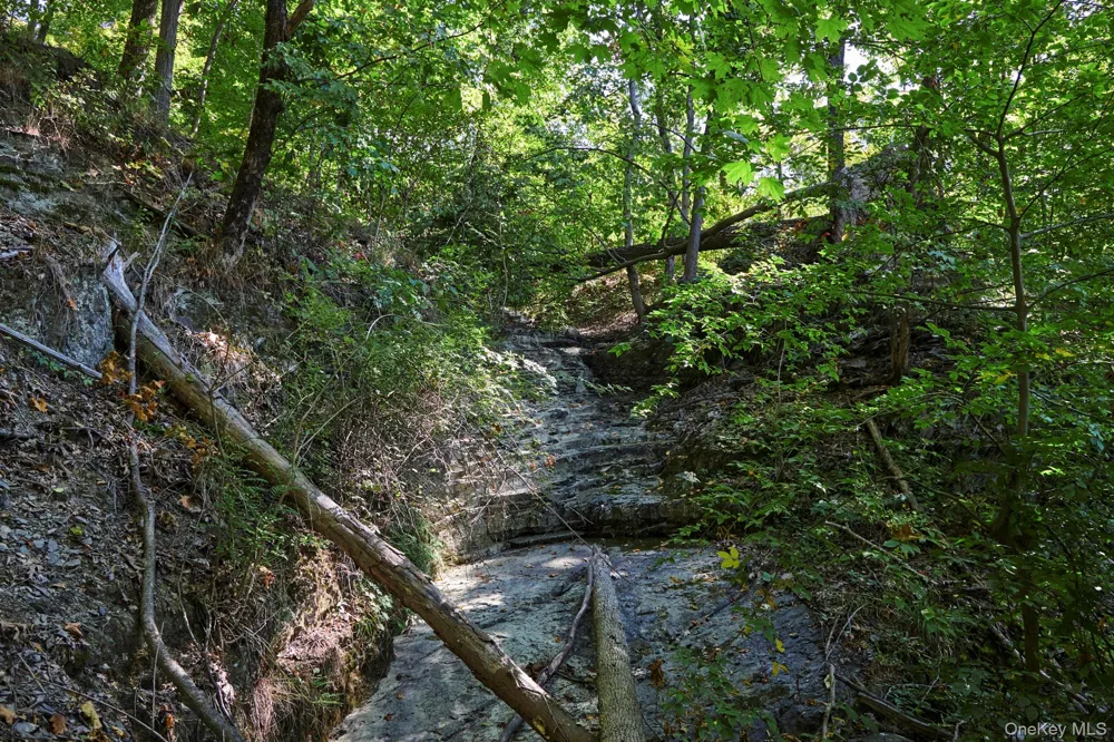 Mill Road Rhinebeck, NY 12572