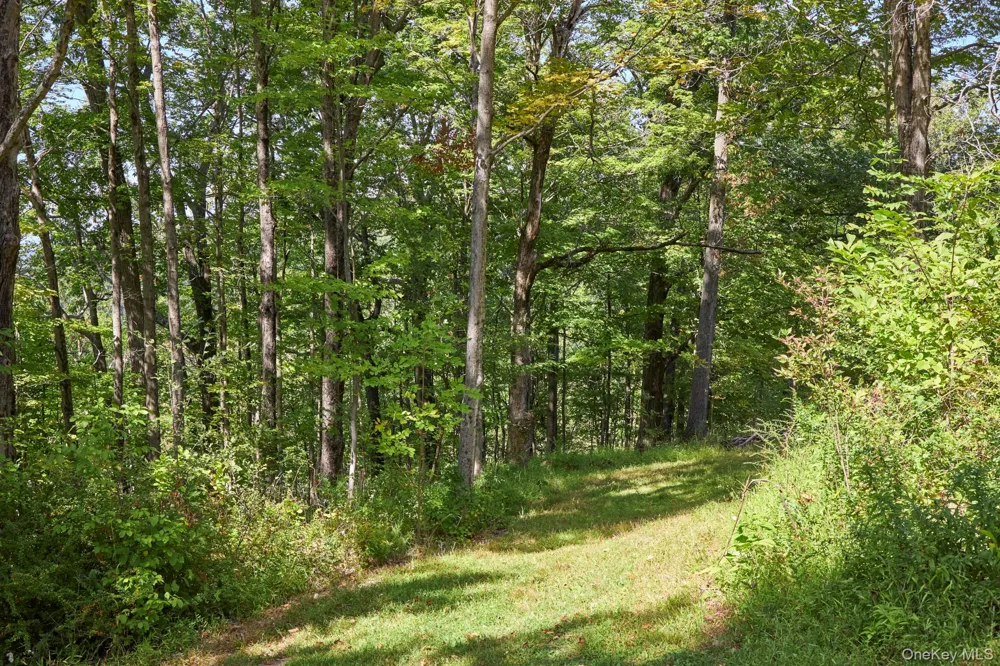 Mill Road Rhinebeck, NY 12572