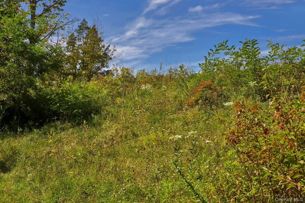 Mill Road Rhinebeck, NY 12572