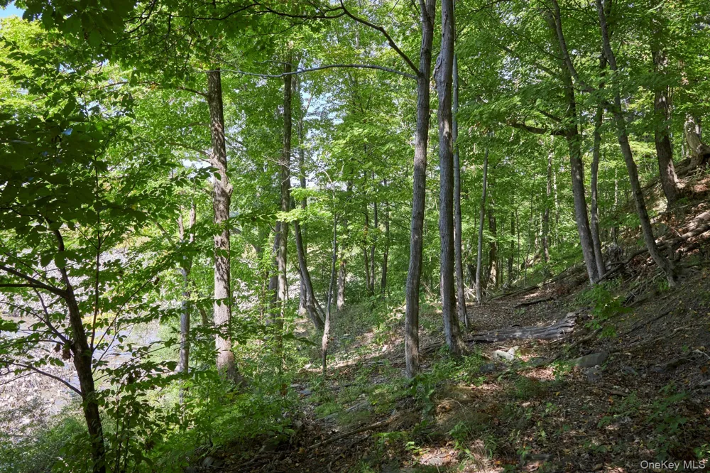 Mill Road Rhinebeck, NY 12572