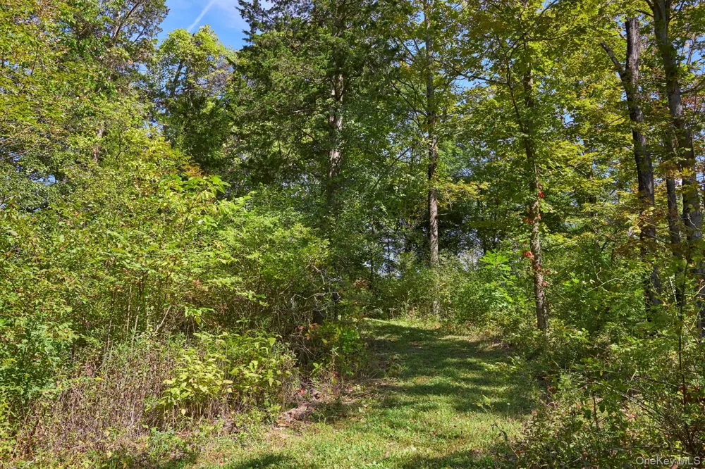 Mill Road Rhinebeck, NY 12572