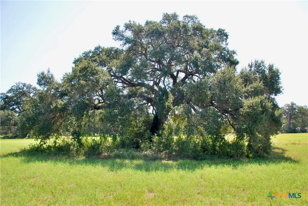 4 Harvell Lane Schulenburg, TX 78956