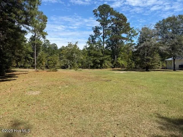 1067 River Road Tabor City, NC 28463