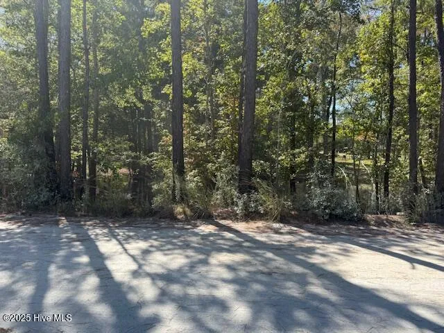 1067 River Road Tabor City, NC 28463
