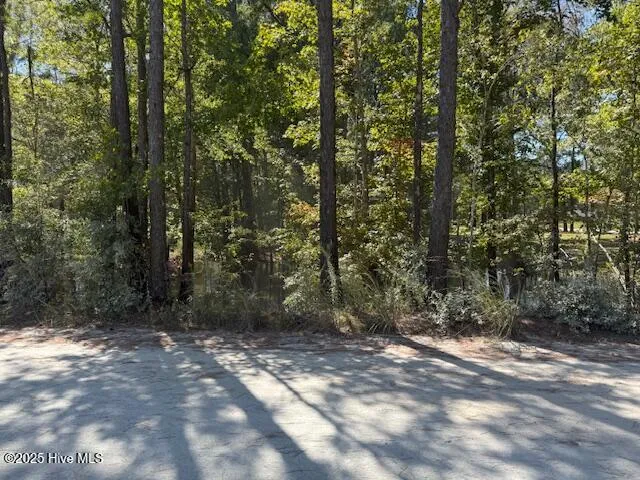 1067 River Road Tabor City, NC 28463