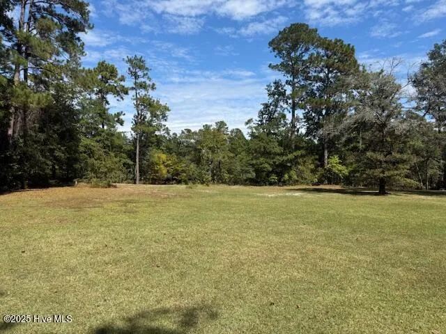 1067 River Road Tabor City, NC 28463