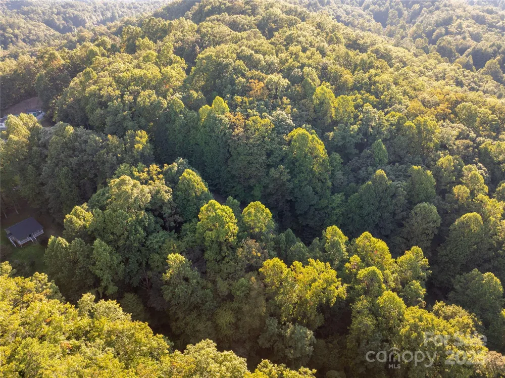 Lot 8 Madison Lane Robbinsville, NC 28771
