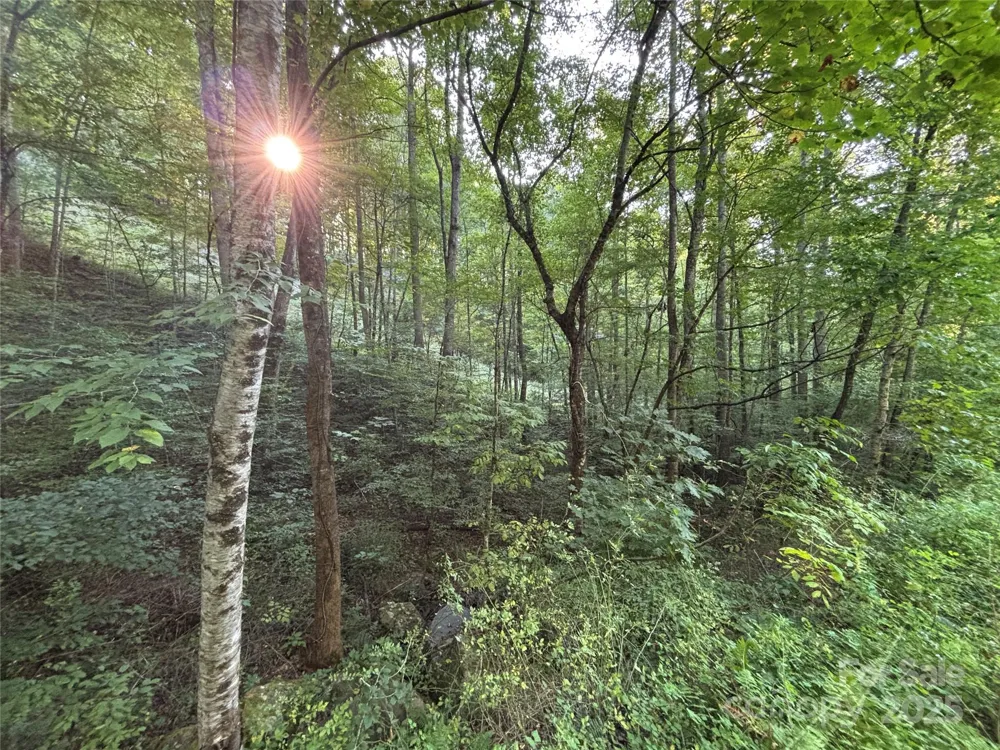 Lot 8 Madison Lane Robbinsville, NC 28771